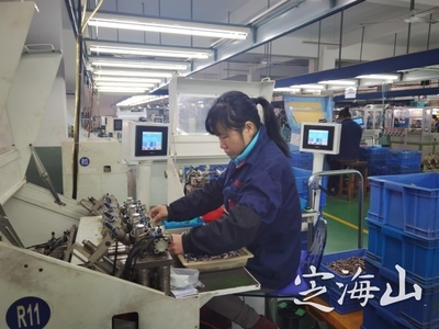 加速智能轉(zhuǎn)型，賦能未來 家電零配件銷售在產(chǎn)業(yè)升級(jí)中的新機(jī)遇